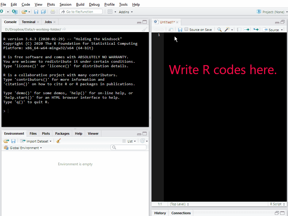Writing and Running Codes in RStudio