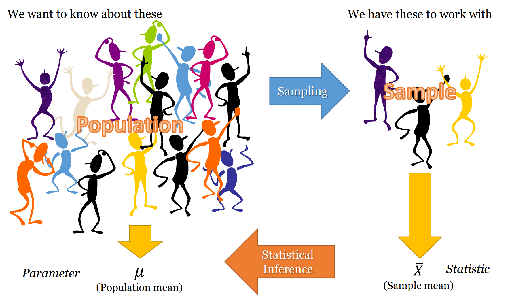 The Population and The Sample