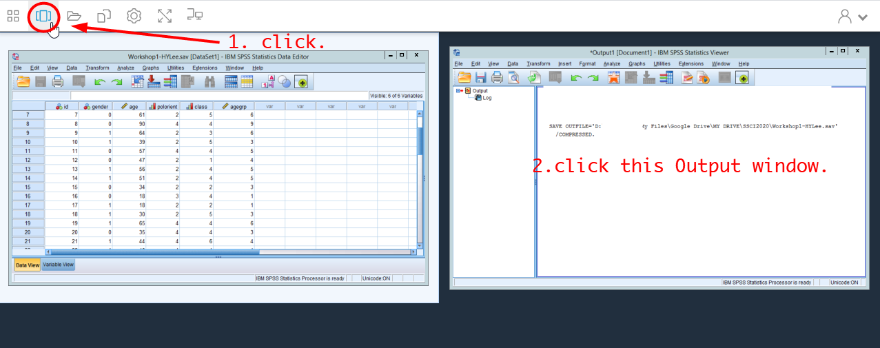 spss 25 command line show version